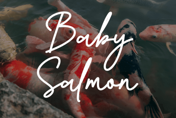 Baby Salmon: A Sophisticated Script Font for Digital Design