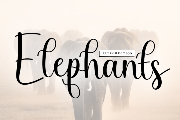 Elephants Font: Building a Consistent Brand Identity
