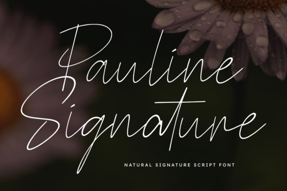 Pauline Signature: A Graceful Script for Your Brand
