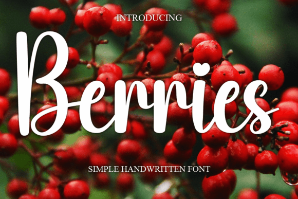 The Berries Font: A Simple Handwritten Font for Modern Web Design